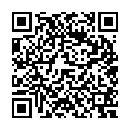 QR code for VIG2007