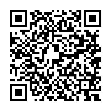 QR code for VIJ8833
