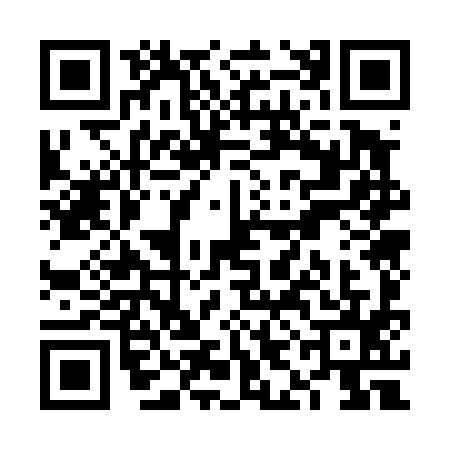 QR code for VIO4957