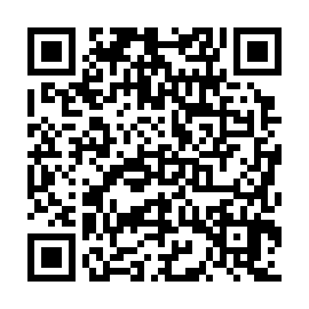 QR code for VIP3847