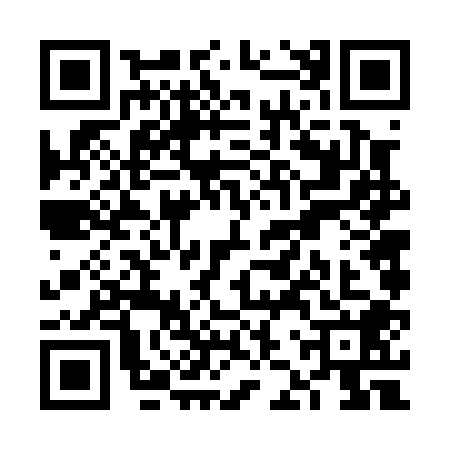 QR code for VJV0085