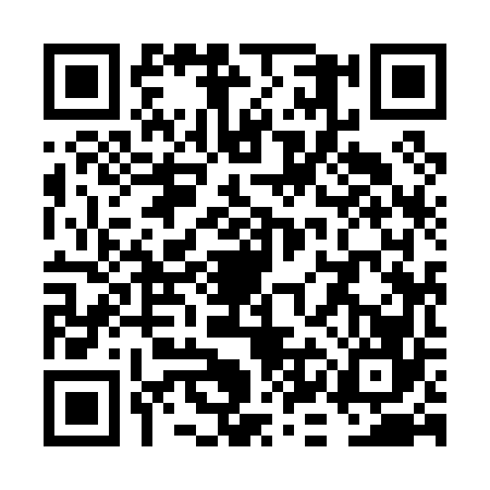 QR code for VKI0666