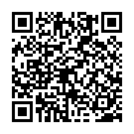 QR code for VLD0004