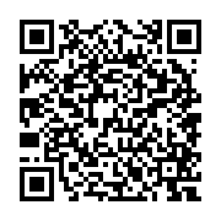 QR code for VMN2453