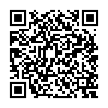 QR code for VMO2024