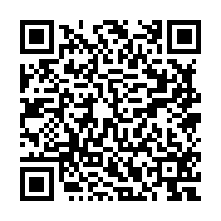 QR code for VMQ8166