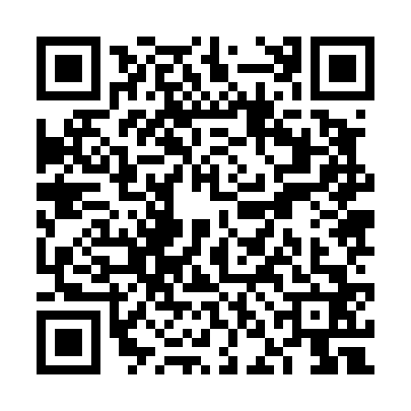 QR code for VNJ4629