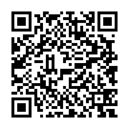 QR code for VNT0393