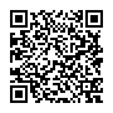 QR code for VPM8303
