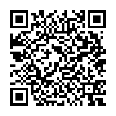 QR code for VQJ6313
