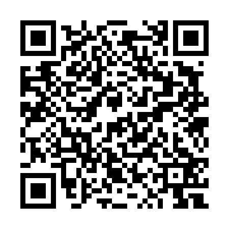 QR code for VQS4233