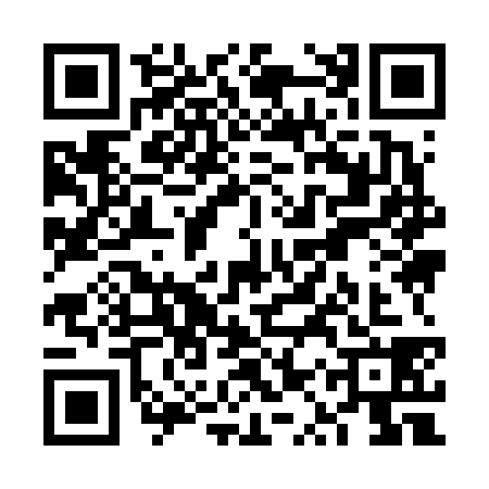 QR code for VQY6385