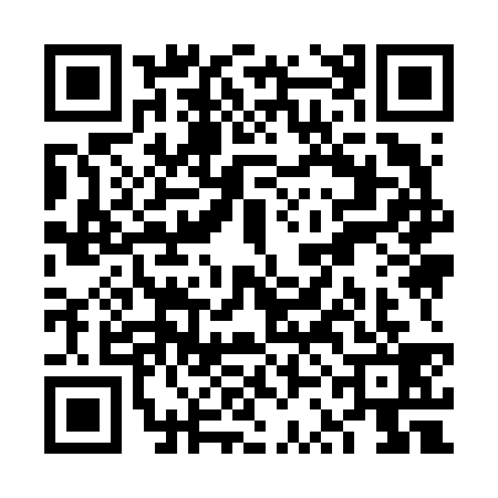 QR code for VSI6393
