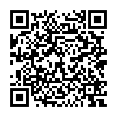 QR code for VSM0293