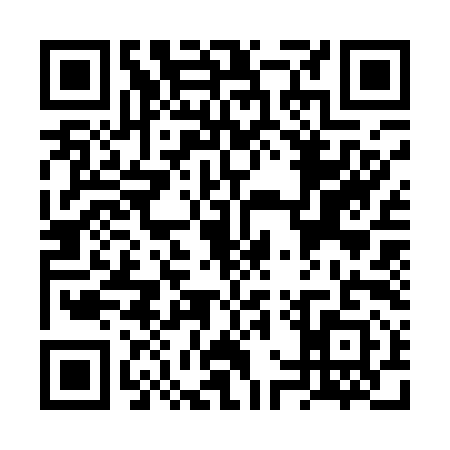 QR code for VWS1919