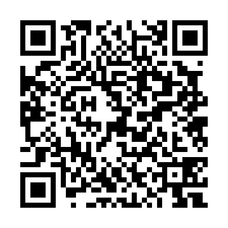 QR code for VYR0383
