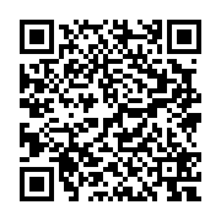 QR code for WAI0293
