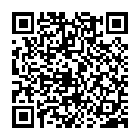 QR code for WAI0993