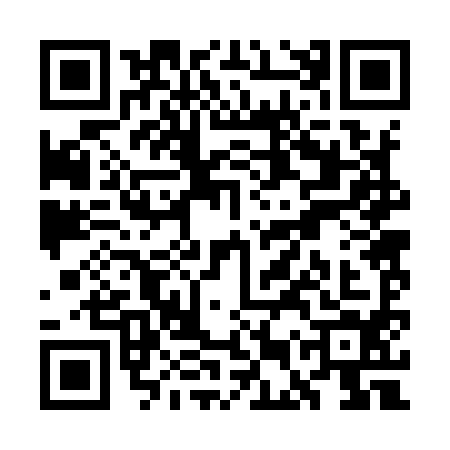 QR code for WER9949