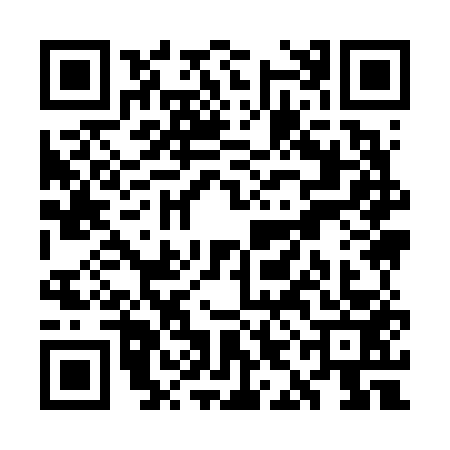 QR code for WII6539