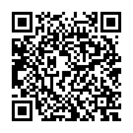 QR code for WIP6276