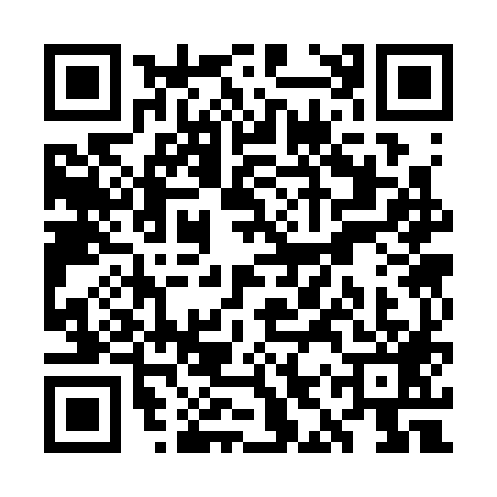 QR code for WIS3891