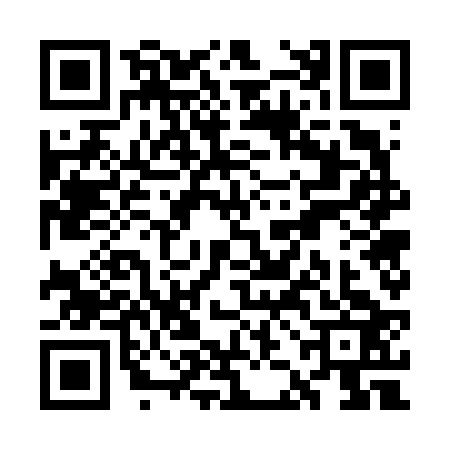 QR code for WJG6233