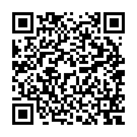 QR code for WKZ2953