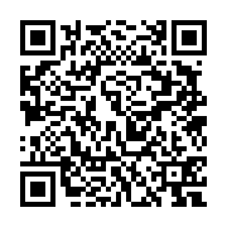 QR code for WNS4313