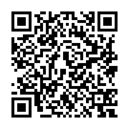 QR code for WSI9341