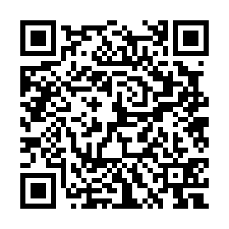 QR code for WXB0313
