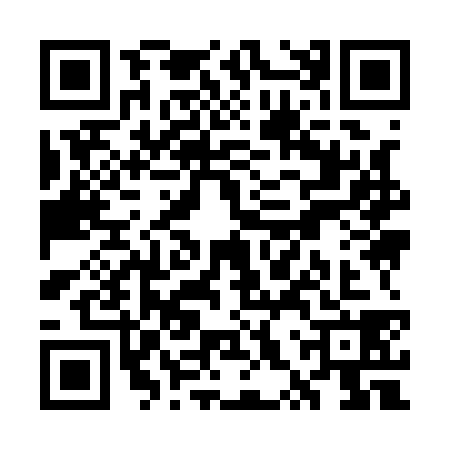 QR code for WXY1384