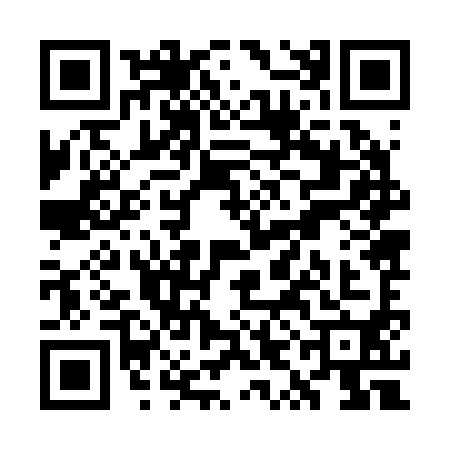 QR code for WYJ2909