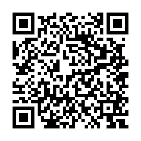 QR code for WYZ0419