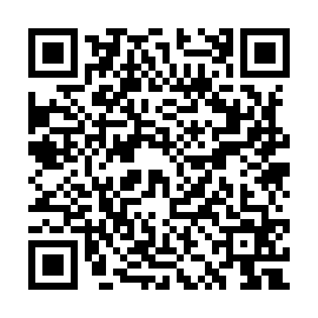 QR code for WZK9646