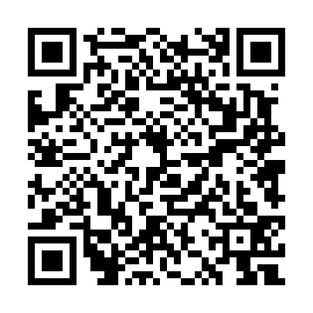 QR code for WZT4335