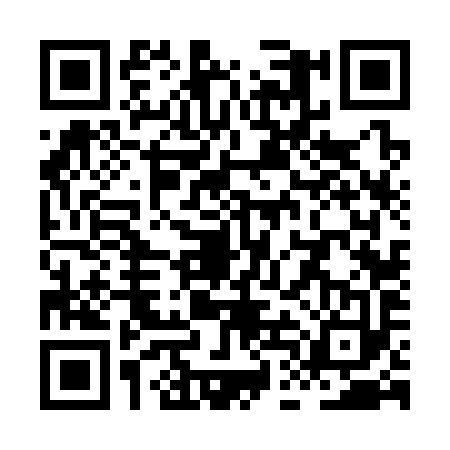 QR code for XDF3933