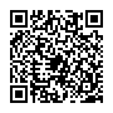 QR code for XDG3961