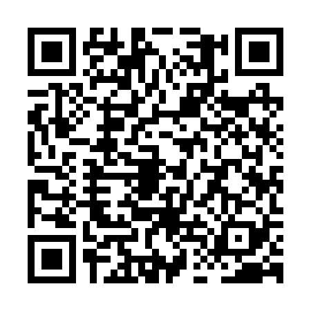 QR code for XDI2295