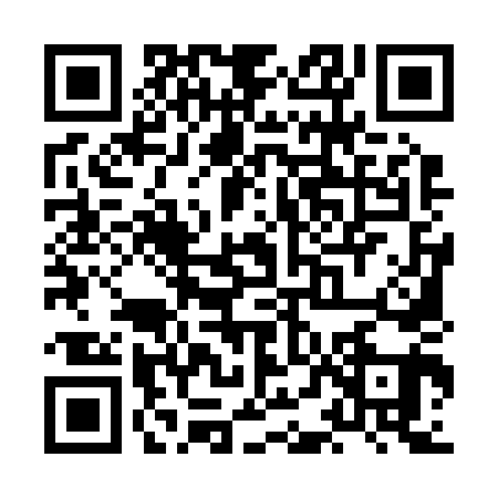 QR code for XDM2411