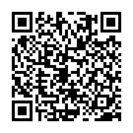 QR code for XDM7699
