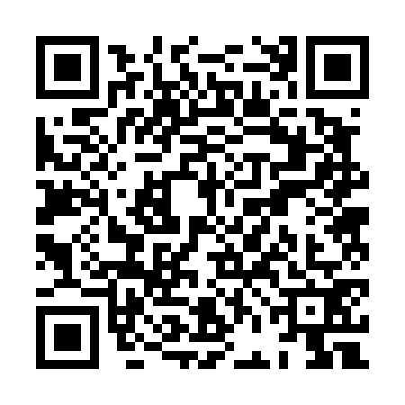 QR code for XFB4729