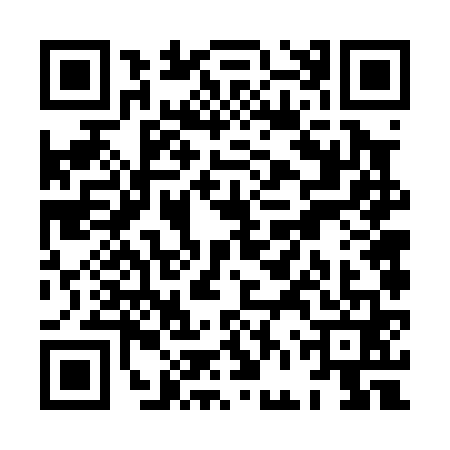 QR code for XFV0617