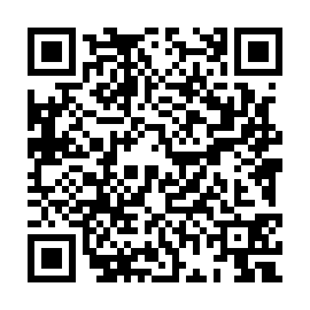 QR code for XGL1307