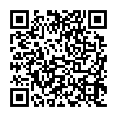 QR code for XHZ3994