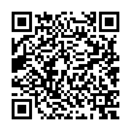QR code for XIN8334