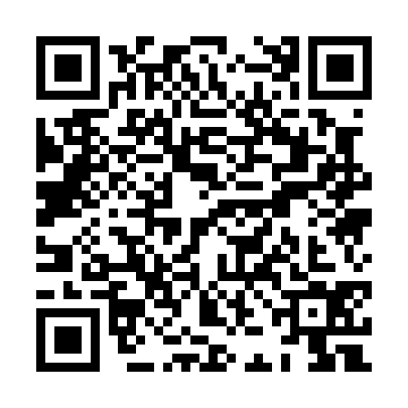 QR code for XJA0341