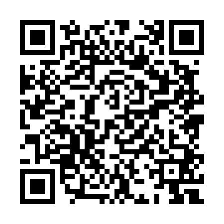 QR code for XJX4409