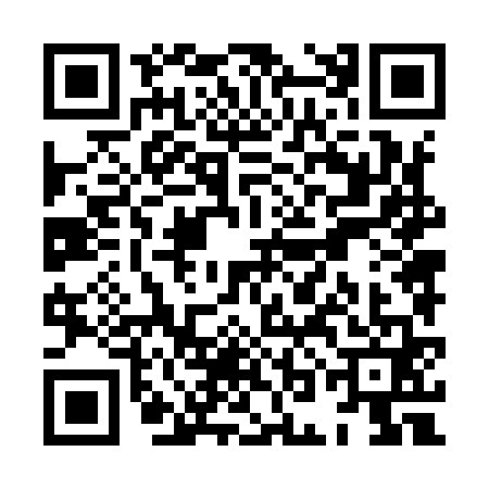 QR code for XON9617