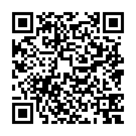 QR code for XOX5384
